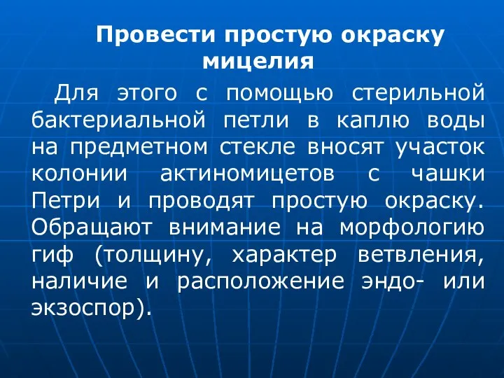 Провести простую окраску мицелия Для этого с помощью стерильной бактериальной петли