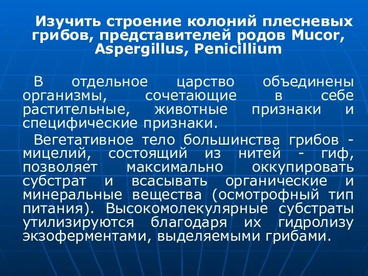 Изучить строение колоний плесневых грибов, представителей родов Mucor, Aspergillus, Penicillium В