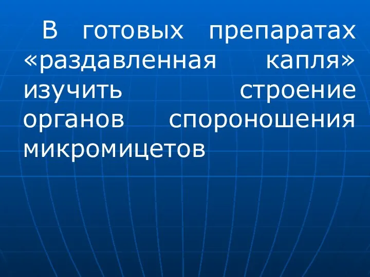 В готовых препаратах «раздавленная капля» изучить строение органов спороношения микромицетов