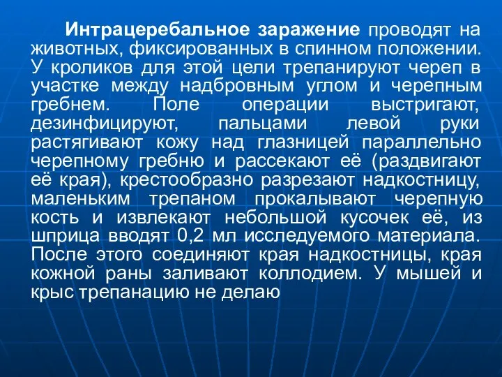 Интрацеребальное заражение проводят на животных, фиксированных в спинном положении. У кроликов