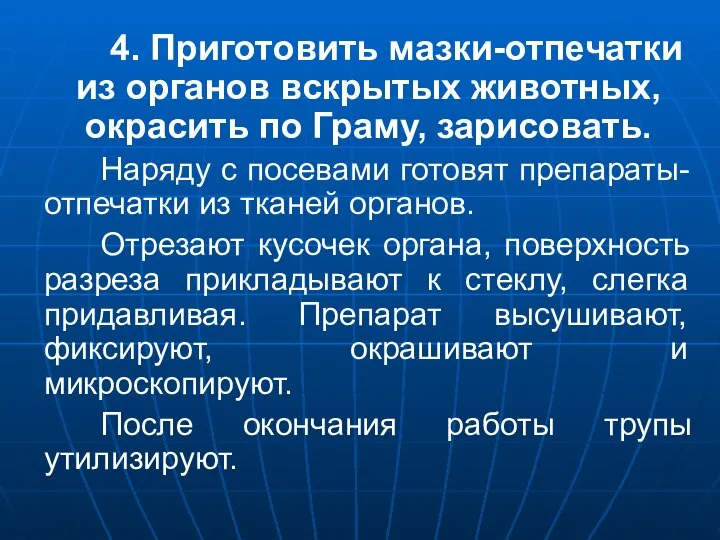 4. Приготовить мазки-отпечатки из органов вскрытых животных, окрасить по Граму, зарисовать.