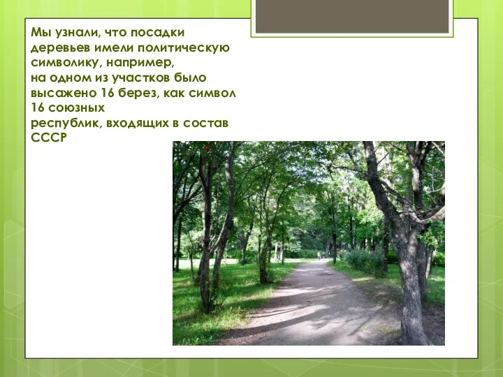 Мы узнали, что посадки деревьев имели политическую символику, например, на одном