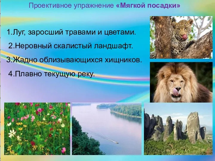 Проективное упражнение «Мягкой посадки» 1.Луг, заросший травами и цветами. 2.Неровный скалистый