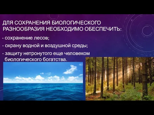 ДЛЯ СОХРАНЕНИЯ БИОЛОГИЧЕСКОГО РАЗНООБРАЗИЯ НЕОБХОДИМО ОБЕСПЕЧИТЬ: - сохранение лесов; - охрану