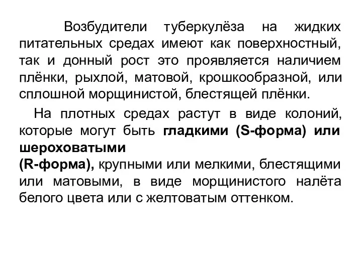 Возбудители туберкулёза на жидких питательных средах имеют как поверхностный, так и