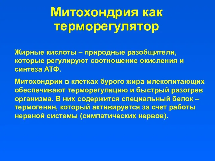 Митохондрия как терморегулятор Жирные кислоты – природные разобщители, которые регулируют соотношение