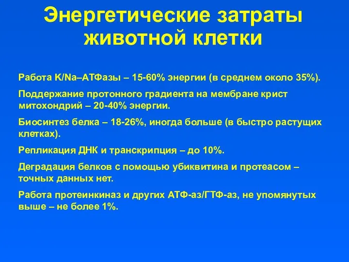 Энергетические затраты животной клетки Работа K/Na–АТФазы – 15-60% энергии (в среднем