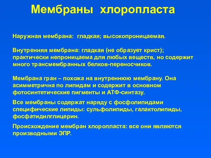 Мембраны хлоропласта Наружная мембрана: гладкая; высокопроницаемая. Внутренняя мембрана: гладкая (не образует