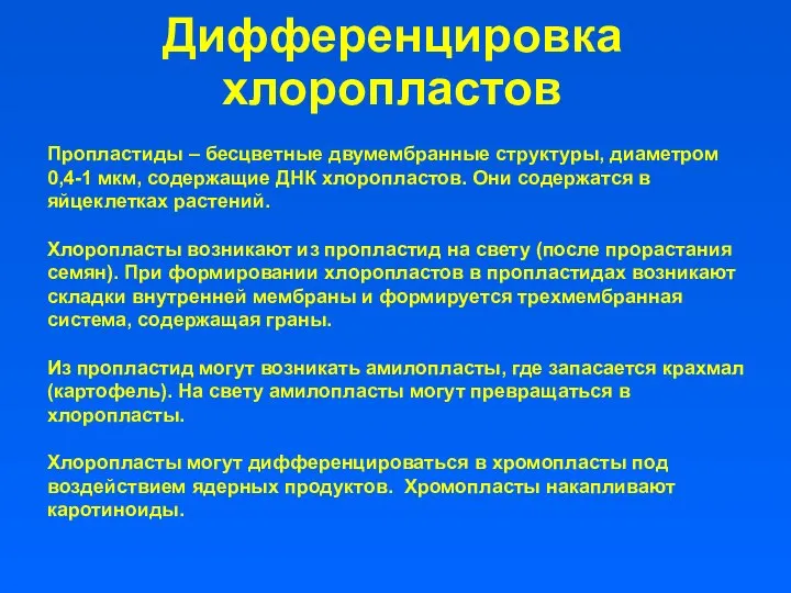 Дифференцировка хлоропластов Пропластиды – бесцветные двумембранные структуры, диаметром 0,4-1 мкм, содержащие