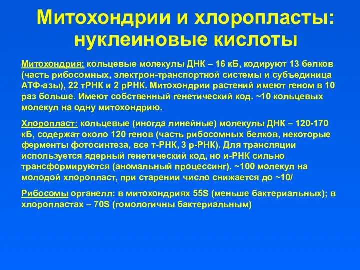 Митохондрии и хлоропласты: нуклеиновые кислоты Митохондрия: кольцевые молекулы ДНК – 16