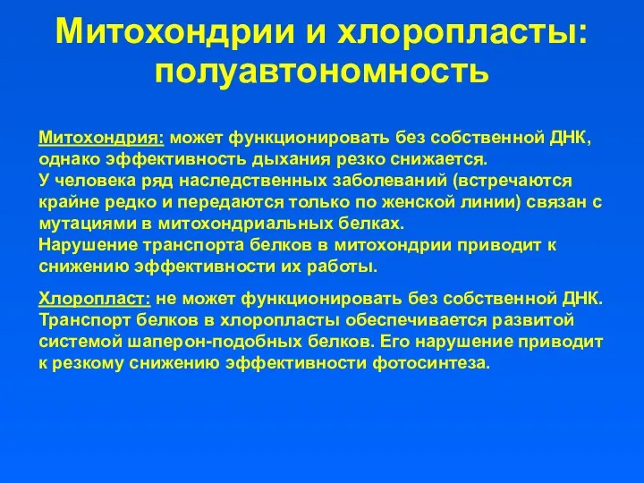 Митохондрии и хлоропласты: полуавтономность Митохондрия: может функционировать без собственной ДНК, однако