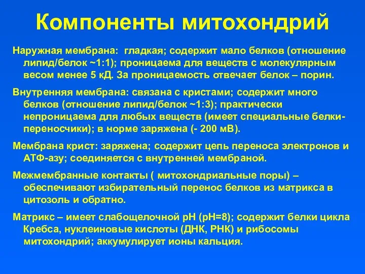 Компоненты митохондрий Наружная мембрана: гладкая; содержит мало белков (отношение липид/белок ~1:1);