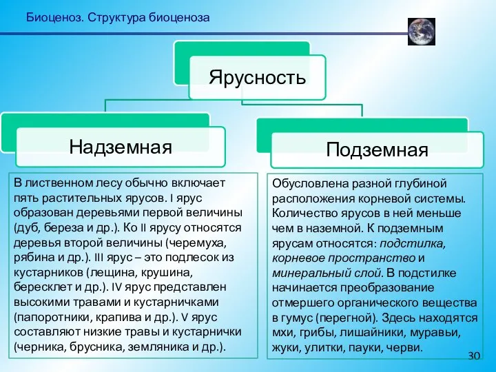 Биоценоз. Структура биоценоза В лиственном лесу обычно включает пять растительных ярусов.