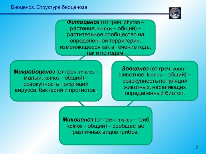 Биоценоз. Структура биоценоза