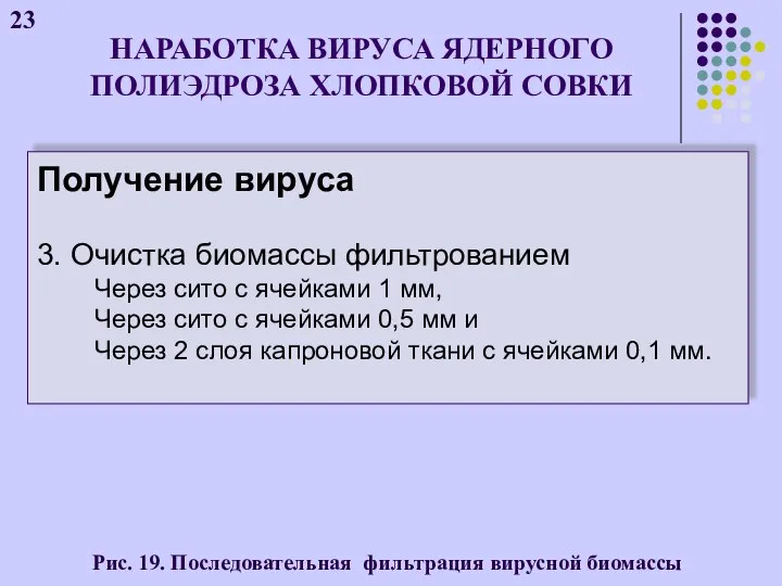 НАРАБОТКА ВИРУСА ЯДЕРНОГО ПОЛИЭДРОЗА ХЛОПКОВОЙ СОВКИ 23 Получение вируса 3. Очистка