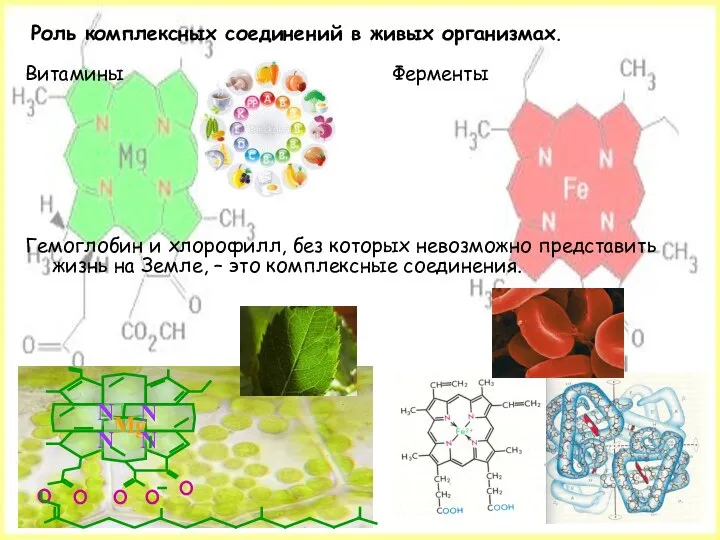 Роль комплексных соединений в живых организмах. Витамины Ферменты Гемоглобин и хлорофилл,