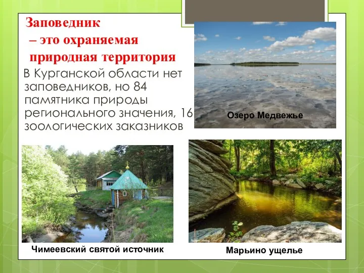 Заповедник – это охраняемая природная территория В Курганской области нет заповедников,