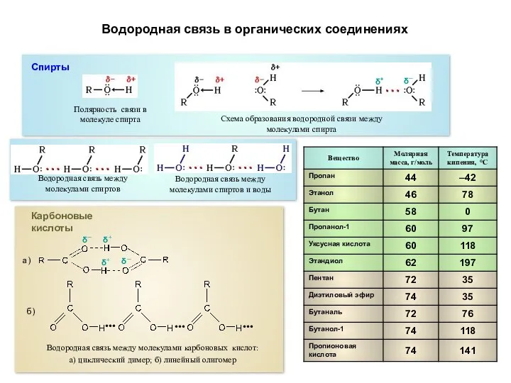 Водородная связь в органических соединениях Спирты Полярность связи в молекуле спирта