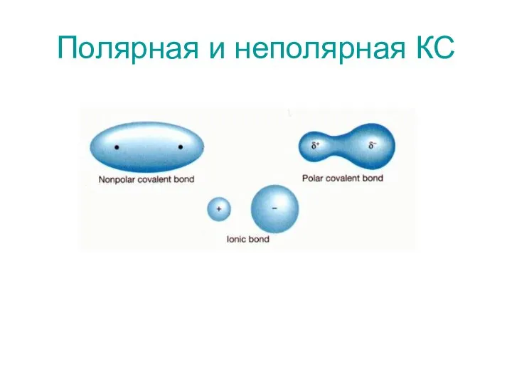 Полярная и неполярная КС