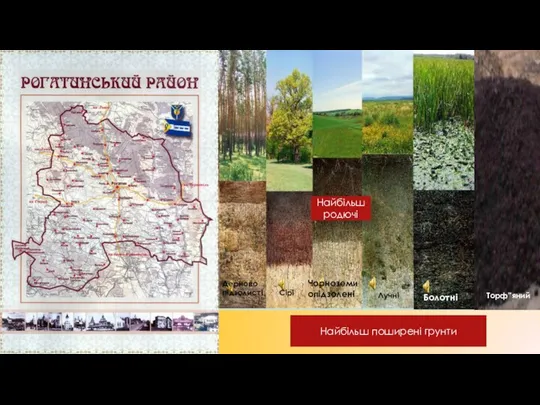 Найбільш родючі Чорноземи опідзолені Дерново підзолисті Сірі Лучні Болотні Найбільш поширені грунти Торф”яний