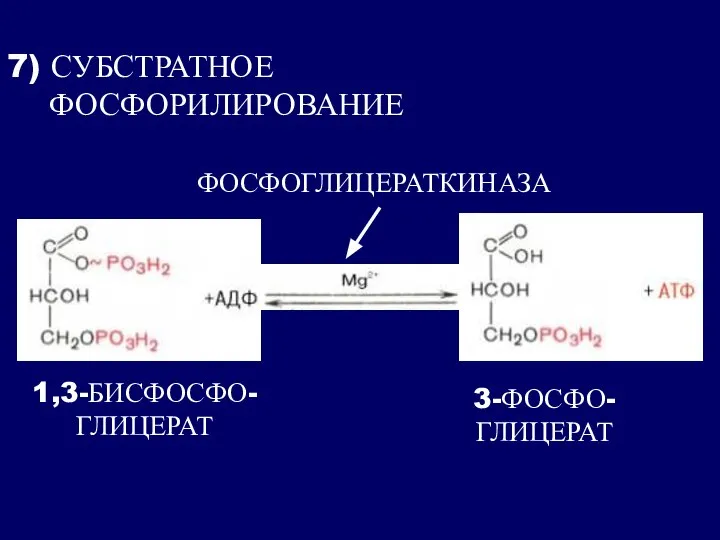 7) СУБСТРАТНОЕ ФОСФОРИЛИРОВАНИЕ