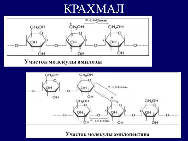 КРАХМАЛ