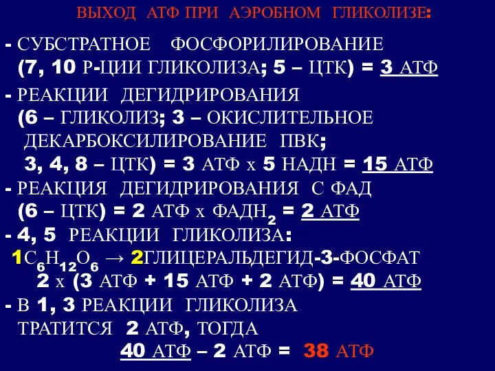 ВЫХОД АТФ ПРИ АЭРОБНОМ ГЛИКОЛИЗЕ: - СУБСТРАТНОЕ ФОСФОРИЛИРОВАНИЕ (7, 10 Р-ЦИИ