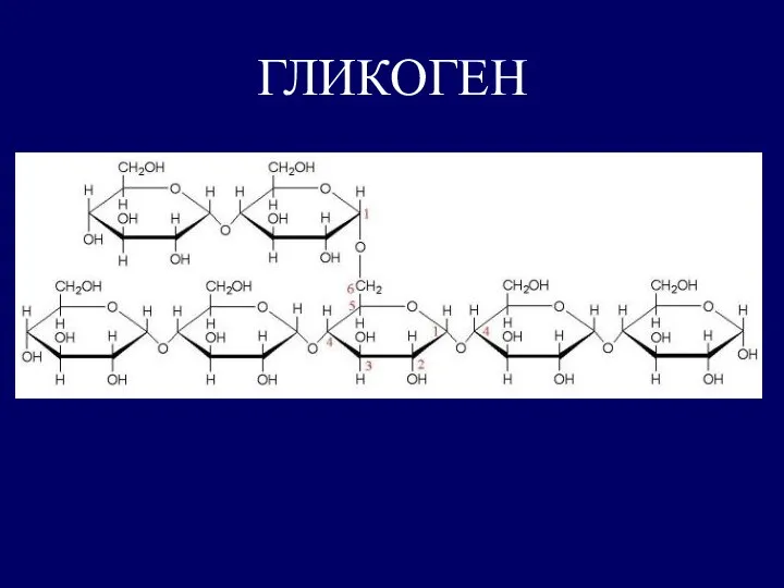 ГЛИКОГЕН