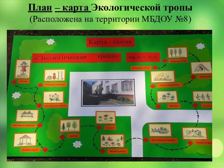 План – карта Экологической тропы (Расположена на территории МБДОУ №8)