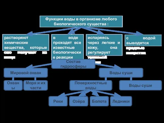 Функции воды в организме любого биологического существа : растворяют химические вещества,