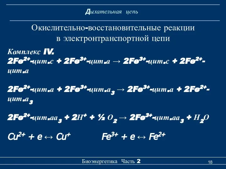 Дыхательная цепь Биоэнергетика Часть 2 Окислительно-восстановительные реакции в электронтранспортной цепи Комплекс