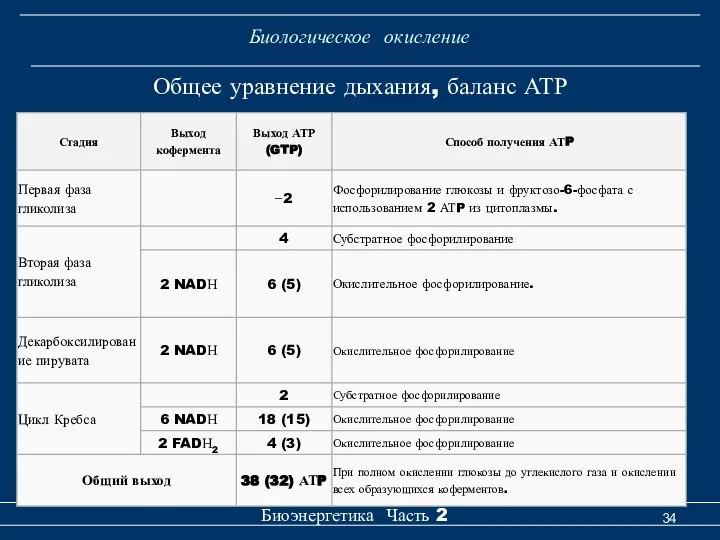 Биологическое окисление Биоэнергетика Часть 2 Общее уравнение дыхания, баланс АТР