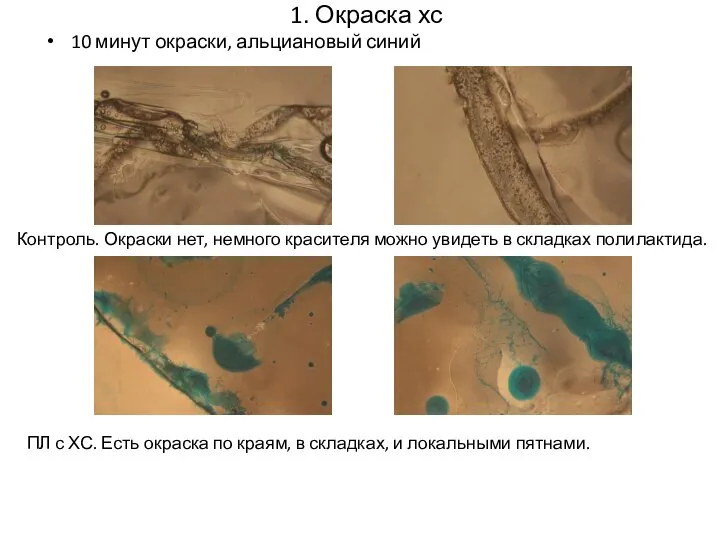 1. Окраска хс 10 минут окраски, альциановый синий Контроль. Окраски нет,