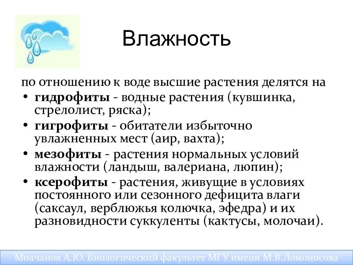 Влажность по отношению к воде высшие растения делятся на гидрофиты -