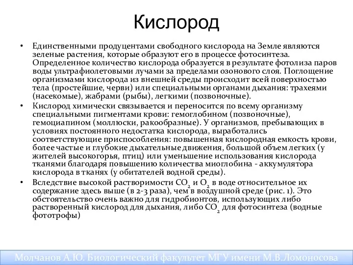 Кислород Единственными продуцентами свободного кислорода на Земле являются зеленые растения, которые