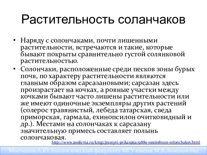 Растительность соланчаков Наряду с солончаками, почти лишенными растительности, встречаются и такие,