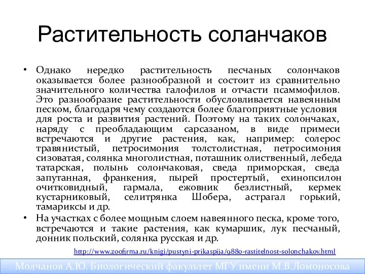 Растительность соланчаков Однако нередко растительность песчаных солончаков оказывается более разнообразной и