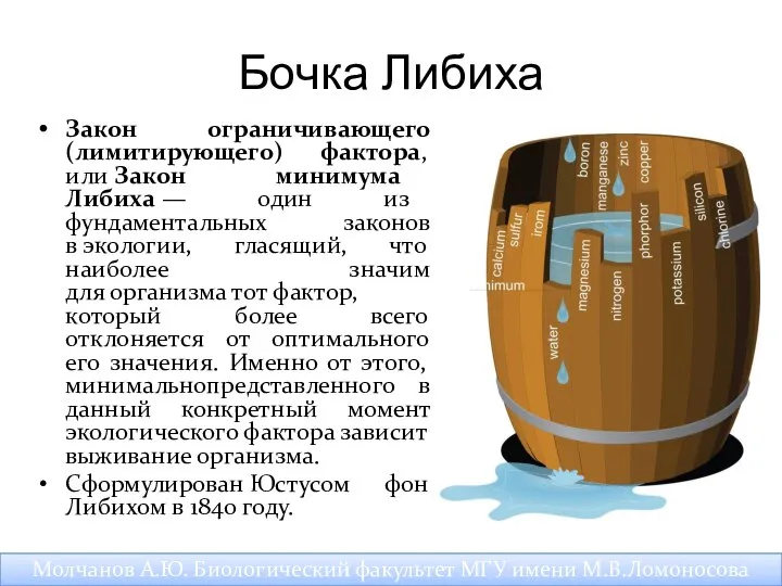 Бочка Либиха Закон ограничивающего (лимитирующего) фактора, или Закон минимума Либиха —