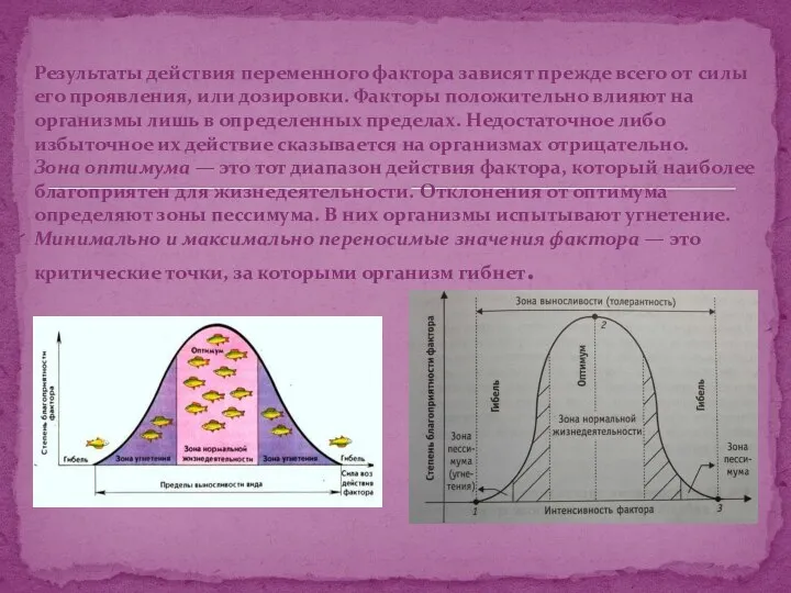 Результаты действия переменного фактора зависят прежде всего от силы его проявления,