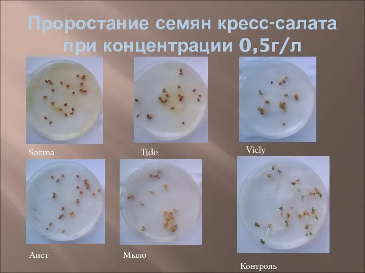 Проростание семян кресс-салата при концентрации 0,5г/л Sarma Tide Vicly Аист Мыло Контроль