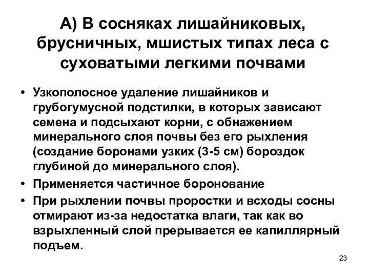 А) В сосняках лишайниковых, брусничных, мшистых типах леса с суховатыми легкими