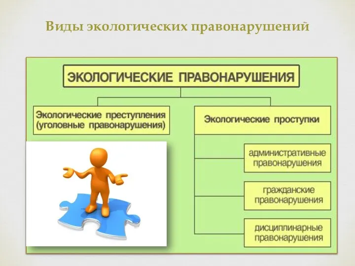 Виды экологических правонарушений