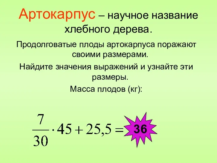 Артокарпус – научное название хлебного дерева. Продолговатые плоды артокарпуса поражают своими