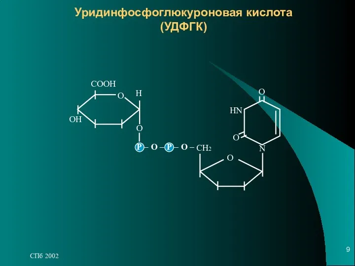 СПб 2002 Уридинфосфоглюкуроновая кислота (УДФГК)