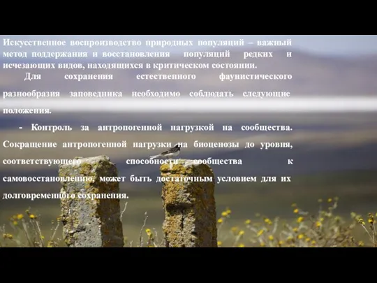 Искусственное воспроизводство природных популяций – важный метод поддержания и восстановления популяций