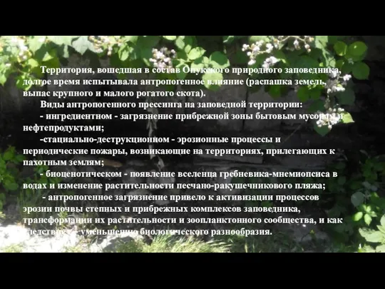 Территория, вошедшая в состав Опукского природного заповедника, долгое время испытывала антропогенное