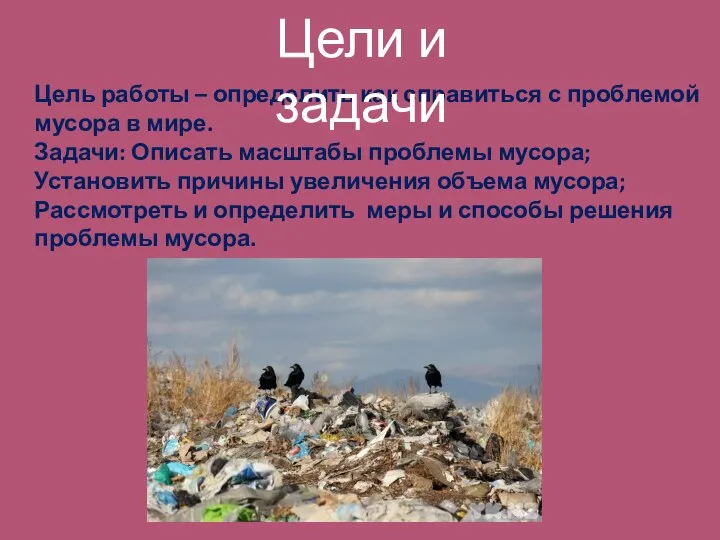 Цель работы – определить как справиться с проблемой мусора в мире.