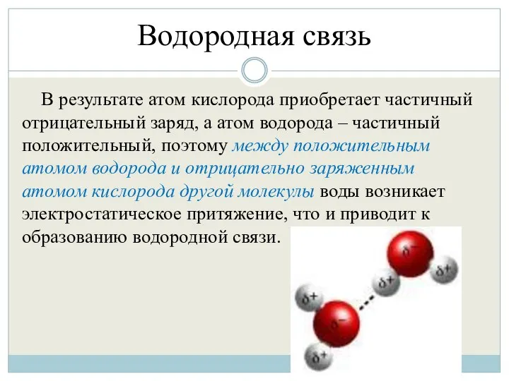Водородная связь В результате атом кислорода приобретает частичный отрицательный заряд, а