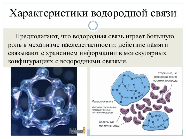 Характеристики водородной связи Предполагают, что водородная связь играет большую роль в