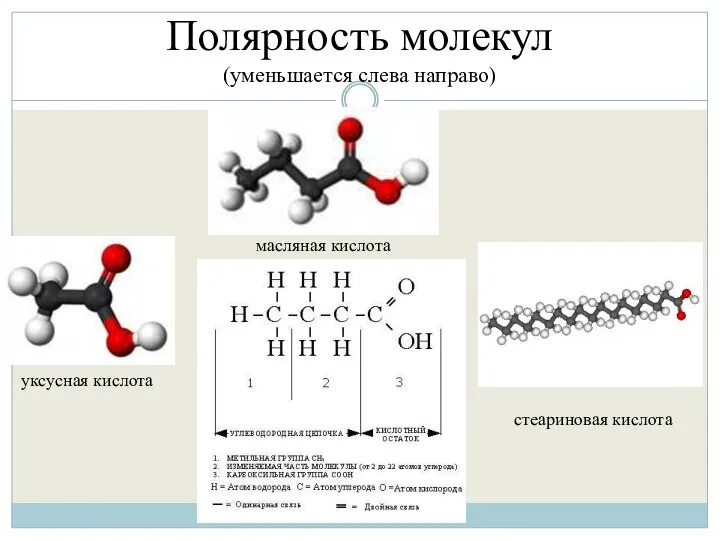 Полярность молекул (уменьшается слева направо) уксусная кислота масляная кислота стеариновая кислота